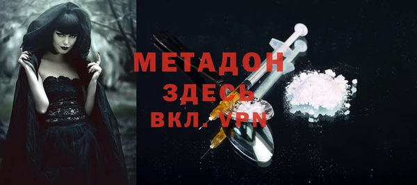 прущие грибы Михайлов