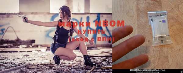 прущие грибы Михайлов